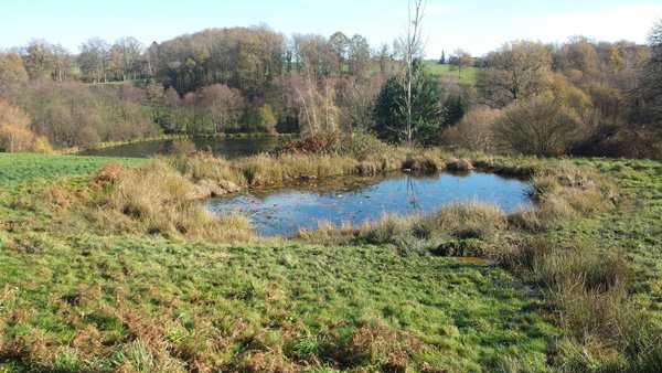 The 2 fishing lakes