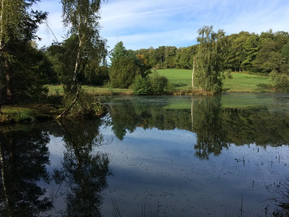 Lake for yoga retreat