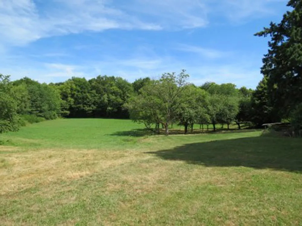View across the fields