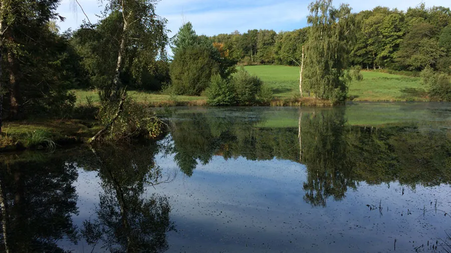 Lake in France for carp