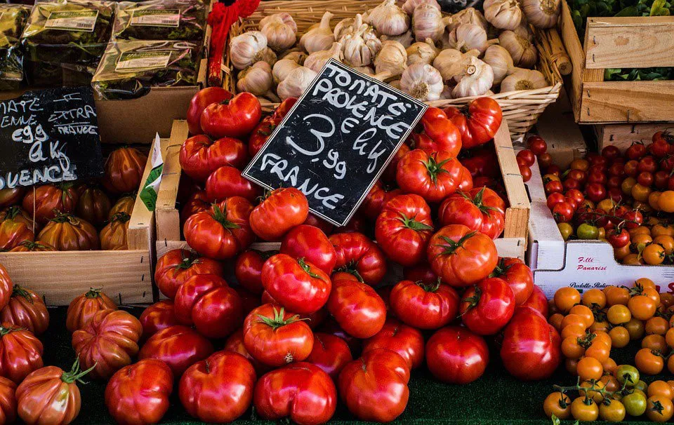 An intensive French course to improve your French language skills