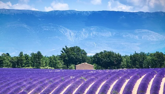 Luxury villas and holiday homes in the south of France. Villas southern France