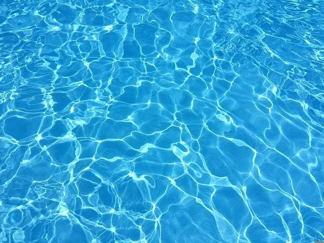 Private pool but not for pets in the private swimming pool in southern France