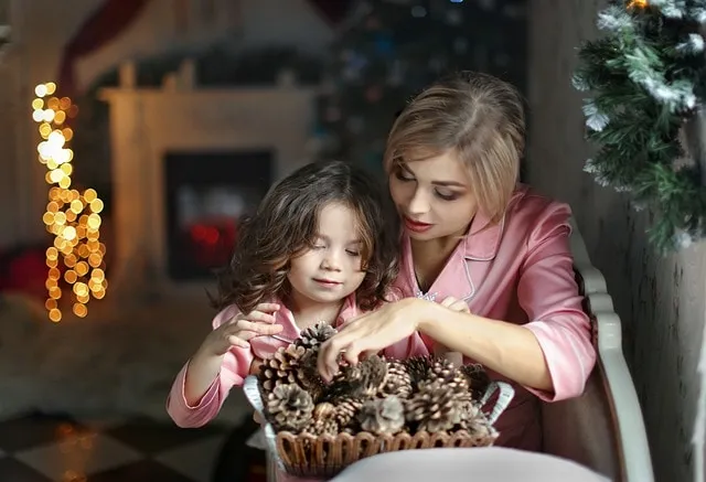 Rent a large house for Christmas