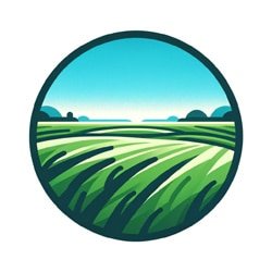 Open Fields