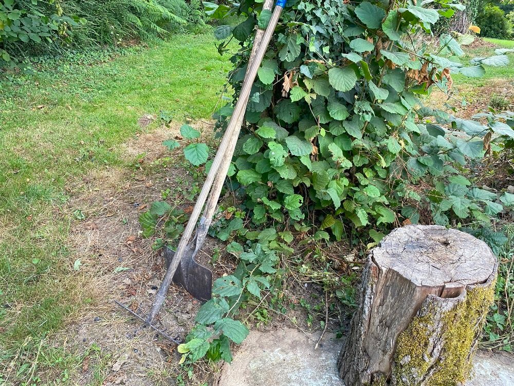 Shovel and rake