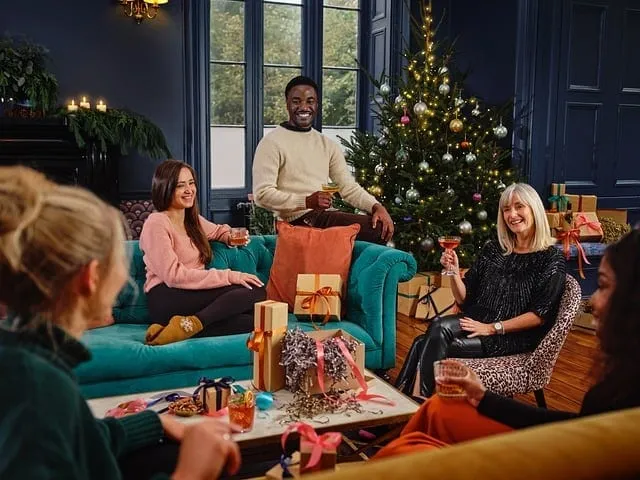 Large groups christmas villas in France
