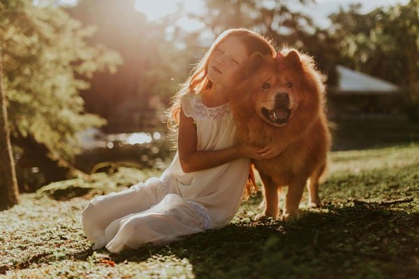Dog travel checklist