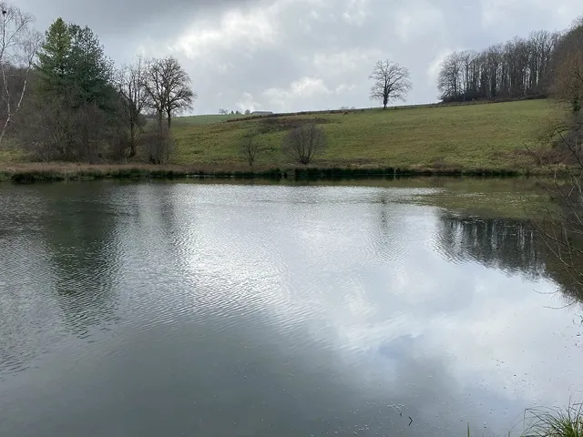 Full and stunning