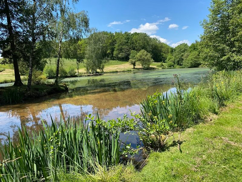 Fishing lake in France