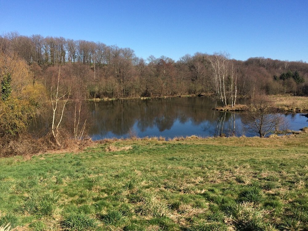 Lake full